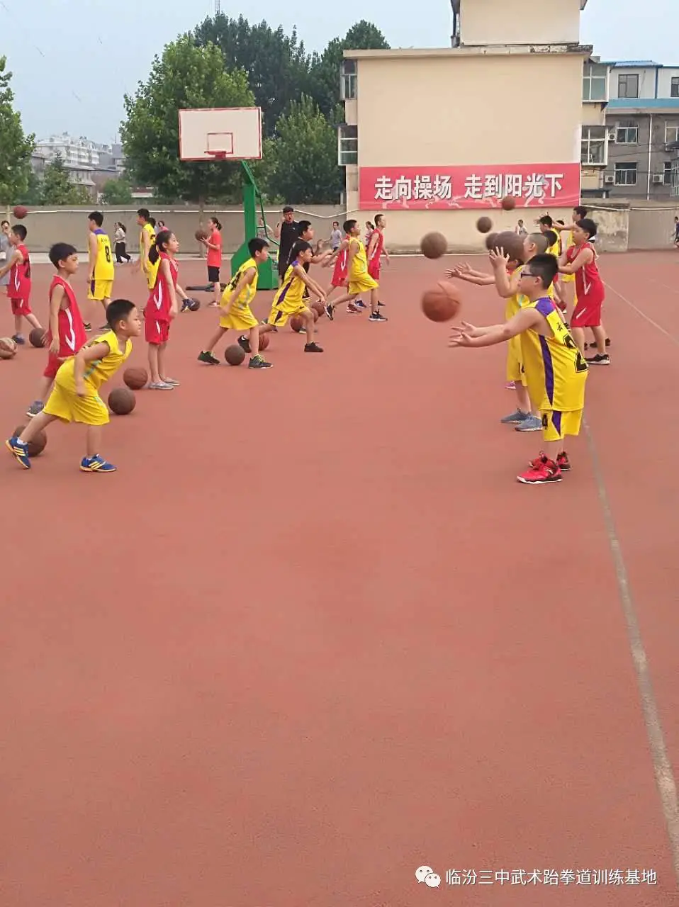 为什么篮球训练中需要多样化的策略_2